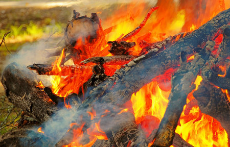 Burning debris during yard cleanup.