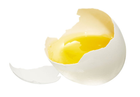 broken egg