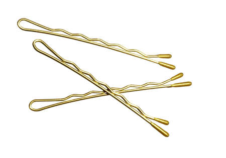 Bobbi Pinsの写真素材