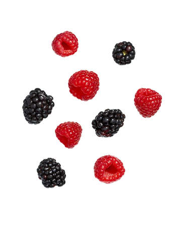 raspberries and blackberriesの写真素材
