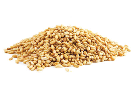 food whole grainsの写真素材