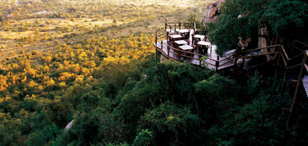 overlooking a forestの写真素材