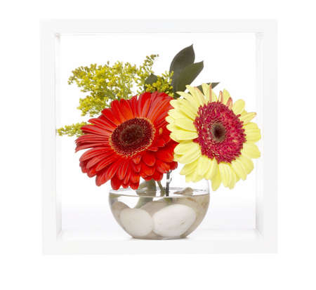 vase with flowers, white shelfの写真素材