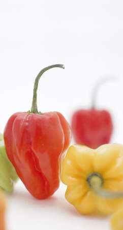 bell peppersの写真素材