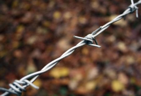 Close up of barbed wireの写真素材