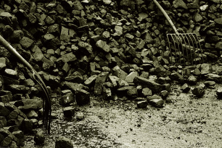 A stack of coal with two coal forks.の写真素材