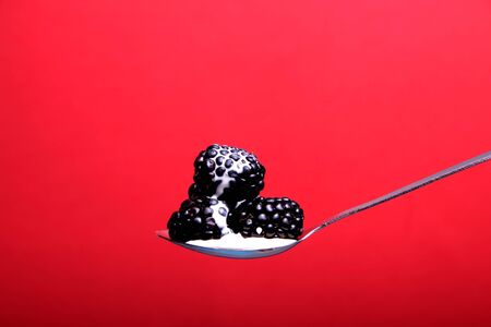 Fresh blackberries in a spoon full of fresh cream. の写真素材