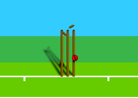 Cricket illustration.の写真素材
