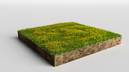 3D Illustration Square of grass field with flowers on white backgroundの写真素材