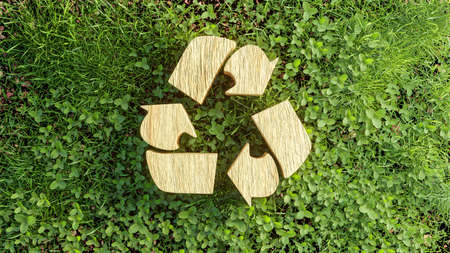 Eco concept : Wood texture Recycle icon on green grass leaves. 3d renderingの写真素材