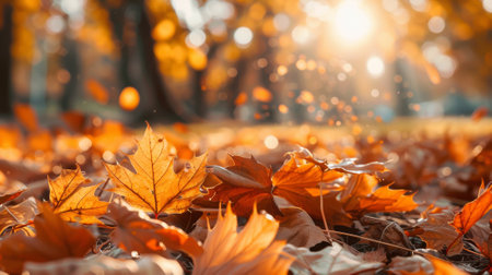 Close-up of golden autumn leaves illuminated by soft sunlight, with a bokeh effect creating a dreamy and warm atmosphere.の素材