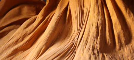 natural background textureの写真素材