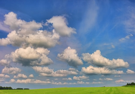 meadow and blue sky nature background