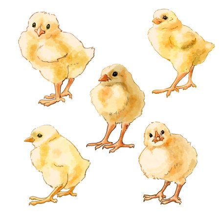 Color illustration Farm with chickens. High quality illustration