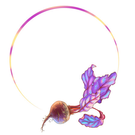 Round frame with beetroot illustration. High quality illustration