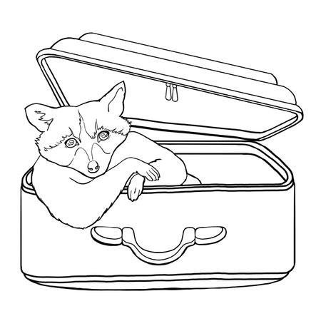 Vector image of a raccoon in a suitcase. monochrome line drawing. From the collection JOURNEY OF THE RACCOON. Funny animals. For website design, printing postcards and posters. Travel label. Vector illustrationのイラスト素材