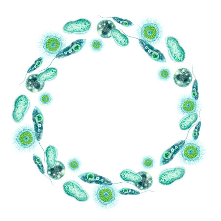 Single-celled bacteria and microorganisms. Round frame with place for text. For design and printing...