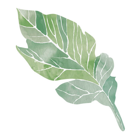 Watercolor stylized illustration of a green leaf, without a background. Abstract clipart for creating interior design, tableware prints, magazine covers, or grocery packages. Element for web design.の写真素材