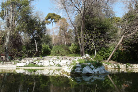 Nature park with lakeの写真素材