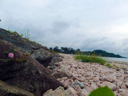Singapore Kranji Reservoir landscapeの写真素材