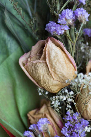 Romantic dried rosesの写真素材