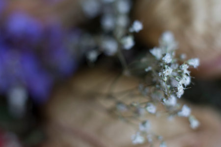 Jasmine flowers backgroundの写真素材