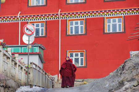 Lama in Tibetの写真素材