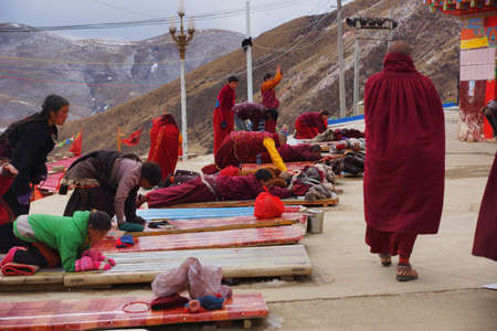 Lama in Seda, Tibetのeditorial素材