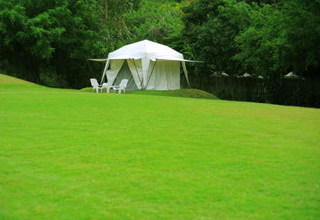 white tent on green grass yardの写真素材