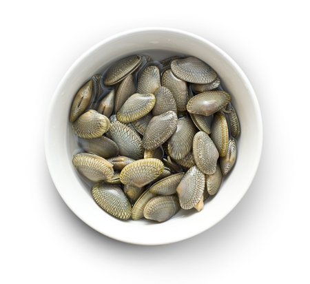 shellfish in white bowl on isolated background