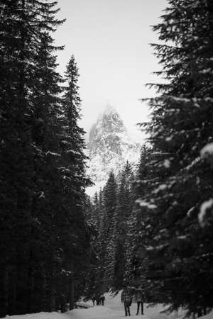 Mountains - Zakopane in the winter - monochromeの写真素材