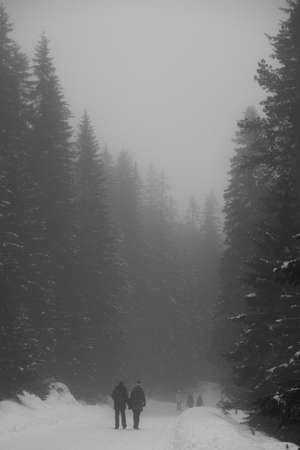 Mountains - Zakopane in the winter - monochromeの写真素材
