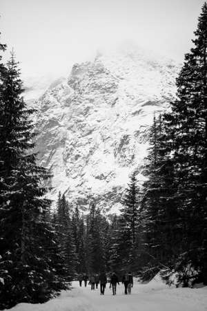 Mountains - Zakopane in the winter - monochromeの写真素材