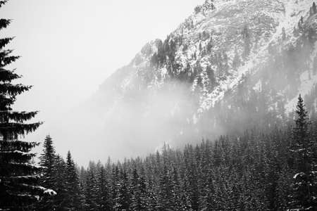 Mountains - Zakopane in the winter - monochromeの写真素材