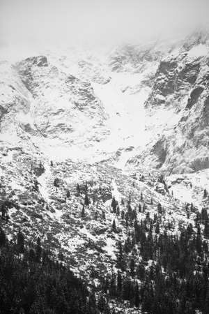 Mountains - Zakopane in the winter - monochromeの写真素材