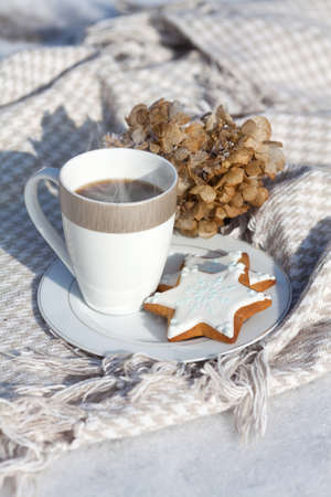 Cozy winter relax: a cup of hot coffee, a blanket and gingerbread overlooking the snowy countryside.の写真素材