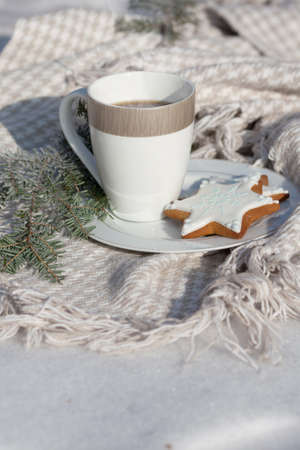 Cozy winter relax: a cup of hot coffee, a blanket and gingerbread overlooking the snowy countryside.の写真素材