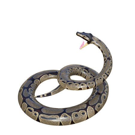 Snake isolated 3d rendering