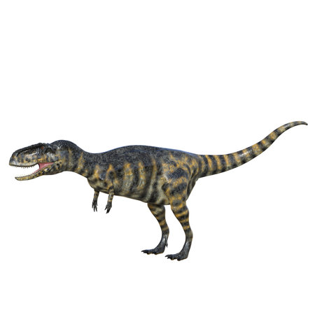 3D digital render of a dinosaur Triceratops isolated on white backgroundの写真素材