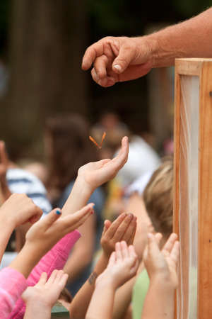 Roswell, GA, USA - July 13, 2013:  Children's hands reach for a butterfly being dropped by a volunteer, as the butterflies are released at the Chattahoochee Nature Center's Butterfly Festival. のeditorial素材