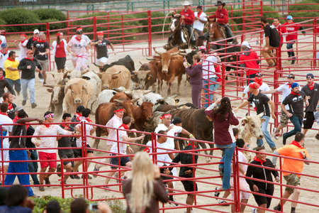 Conyers, GA, USA - October 19, 2013:  Several people run with stampeding bulls at The Great Bull Run at the Georgia International Horse Park.のeditorial素材