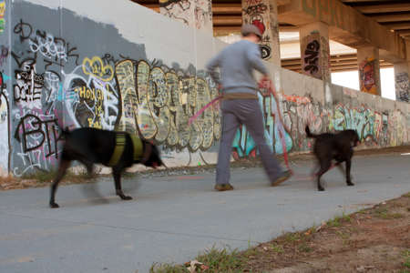 Atlanta, GA, USA - November 2, 2013:  Motion blur of man walking two dogs along a graffiti covered overpass that is part of the 22-mile Atlanta Beltline. This urban redevelopment project will eventually connect 45 intown Atlanta neighborhoods. のeditorial素材