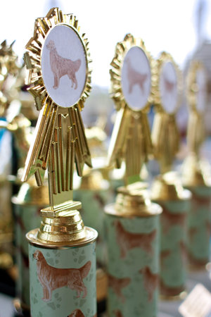 Dog themed trophies on display at dog festival