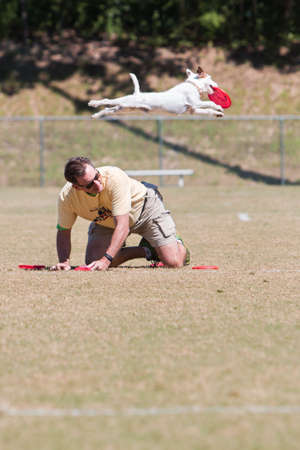 Snellville, GA, USA - May 14, 2016:  A dog leaps over his trainer to catch a frisbee tossed in the air in a dog frisbee catching exhibition at Pawfest, a dog festival on May 14, 2016 in Snellville, GA.のeditorial素材