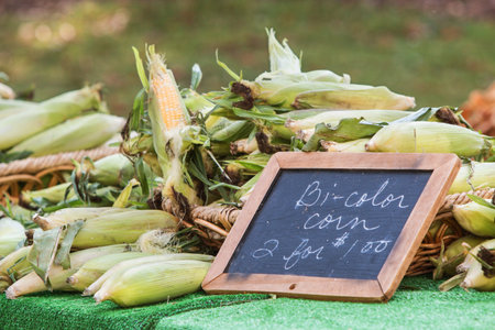 A chalkboard sign advertises two husks of bi-color corn for a dollar at a local farmers market. 