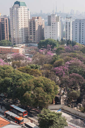 Sao Paulo, Brazil - July 5, 2018:  Elevated view from rooftop of downtown Sao Paulo shows cityscape of skyscrapers and trees on July 5, 2018 in Sao Paulo, Brazil.のeditorial素材