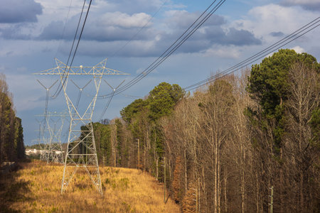 Electricity transmission towers are lined up in a row in a residential neighborhood.