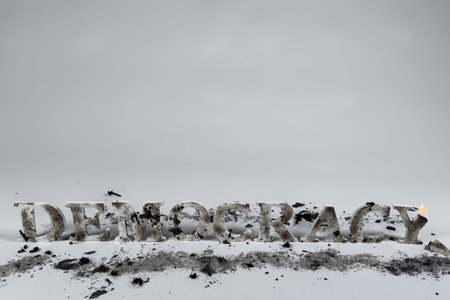 Wood letters spell out the word democracy against a white seamless background.  The letters are...