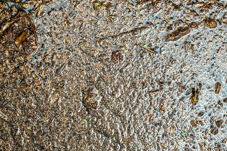 Closeup of murky, grungy floodwater creates textured background plate.