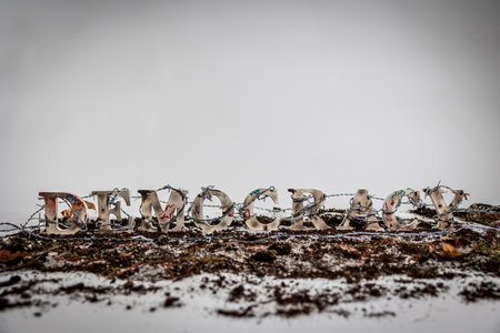 Barbed wire envelops charred and battered wooden letters spelling out the word "Democracy," suggesting democracy is under attack.の写真素材